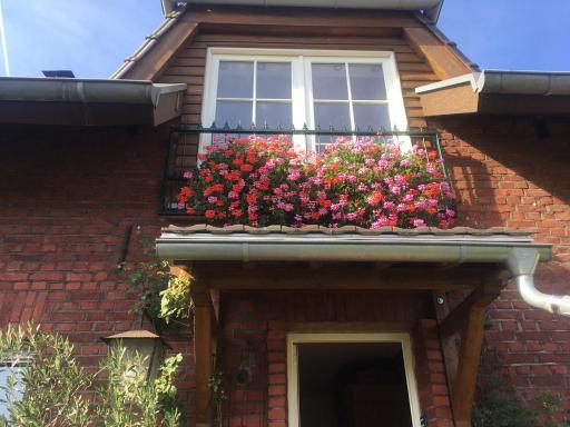 Haus Rothenstein, ruhige FeWo, ca. 10 min. zu Messe und Flughafen - Housity