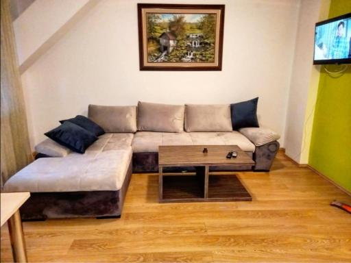 Kopaonik Jolly kop Villa Jana apartmant 6 - Housity