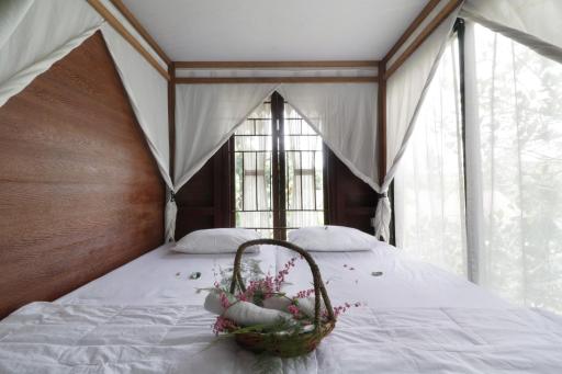 NILA HOUSE, Sharia Family Home Stay - Housity