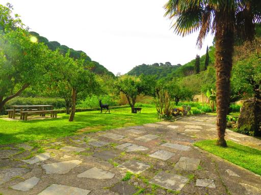 Charming House in Porto de Mós with Shared Pool. - Housity