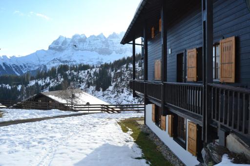Le Petit Refuge - Lupins - Housity