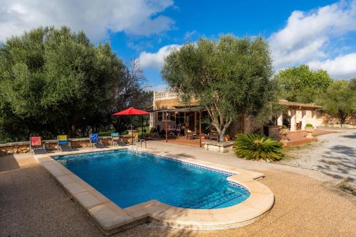Cocotte - Housity