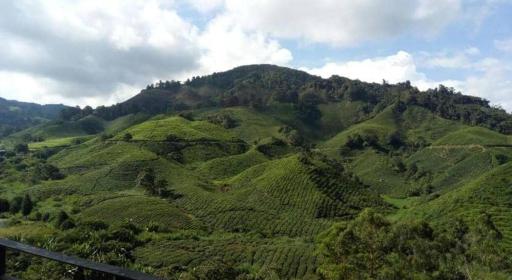 Primark Holiday Apartment Cameron Highlands - Housity