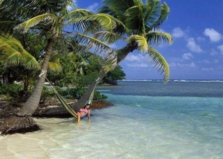 Axios Sun Apartments Caye Caulker - Housity