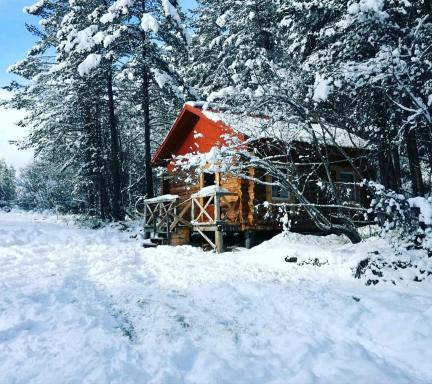 Forest House - Housity