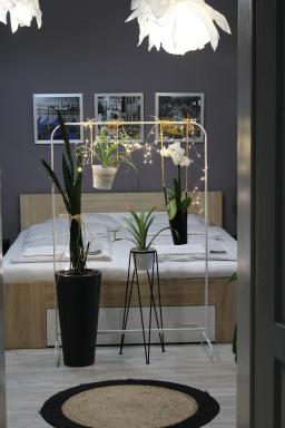 Viky Apartment - Housity