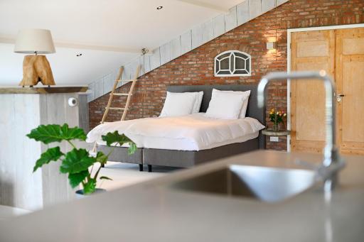 Loft in de Polder (L) - Housity