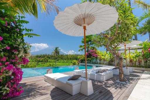 Villa Palmdream - Housity
