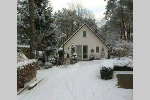 Boshuisje nabij het Reestdal - Housity