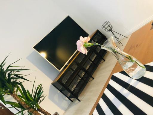 Apartament Akademia - Housity
