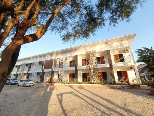 Rare Loei - Housity