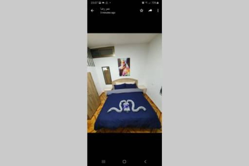 comfy snow night 1 - Housity