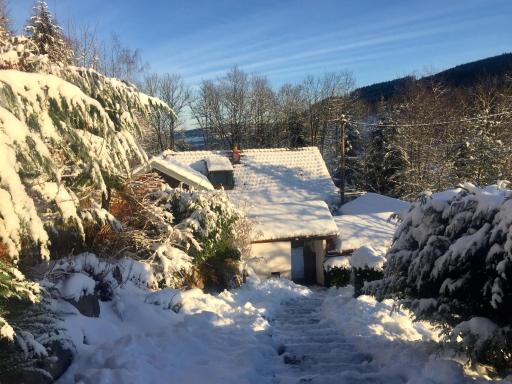 Chalet pleine nature - Housity