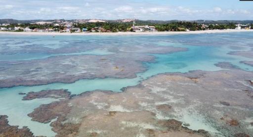 Flat Maui Beach- Com vista e de frente para o mar - Housity