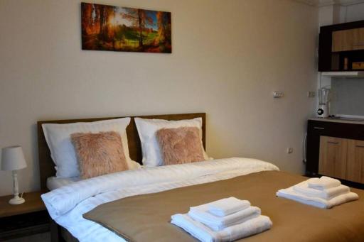Pricop Residence - Housity