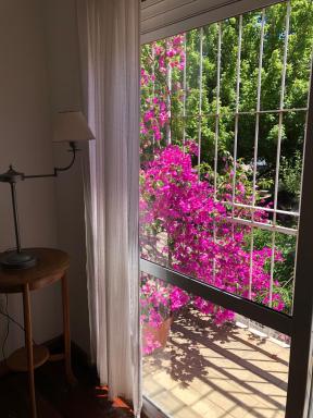 AMPLIO DEPARTAMENTO EN SANTA ROSA - Housity