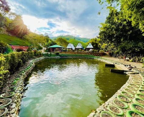 Glamping La Cabanita Santuario - Housity