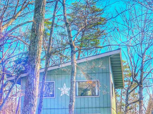 Tree House Cabin - The Original - Housity