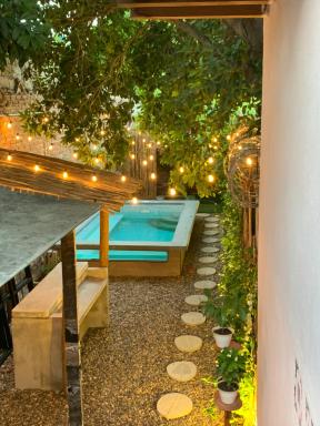 Hostel Boutique Musa Paradisiaca - Housity