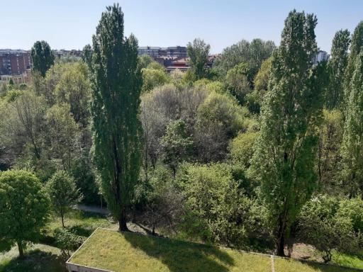 Appartamento policlinico San Donato Milanese - Housity