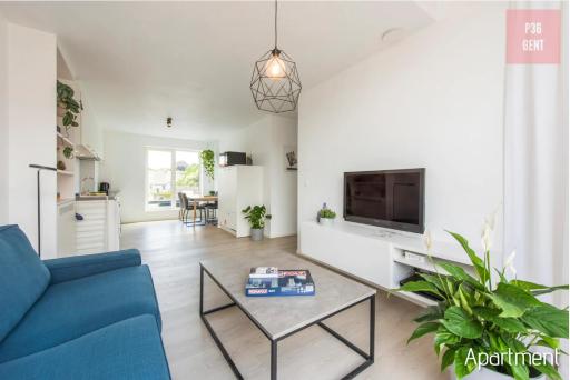 Lovely & Stylish accommodations at P36 Gent, near the Center - Hizvo