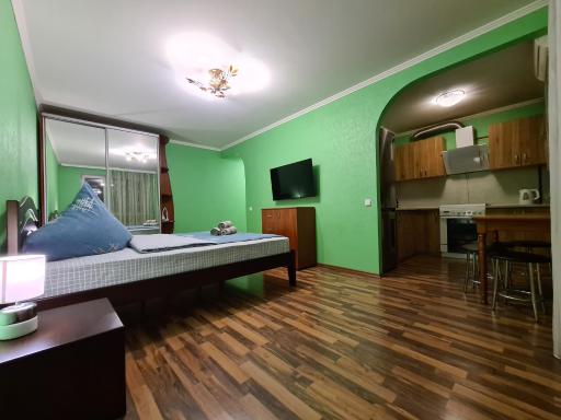 1-room View Apartment near Inturist on Sobornyi Avenue 143, by GrandHome - Housity