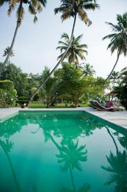 Purity at Lake Vembanad - Housity