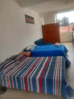 Xochimilco Hermoso Departamento Loft junto a Trajineras - Housity