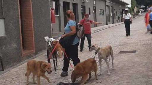La casa del dog trekking - Housity