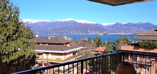Pettirosso - Housity