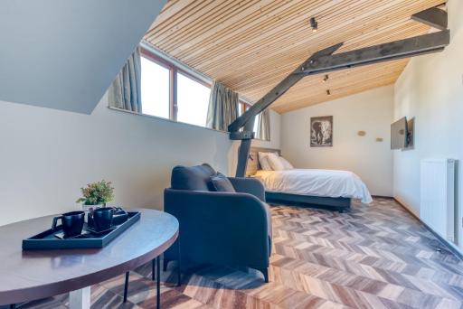 Les Chambres du Vieux Château - Housity
