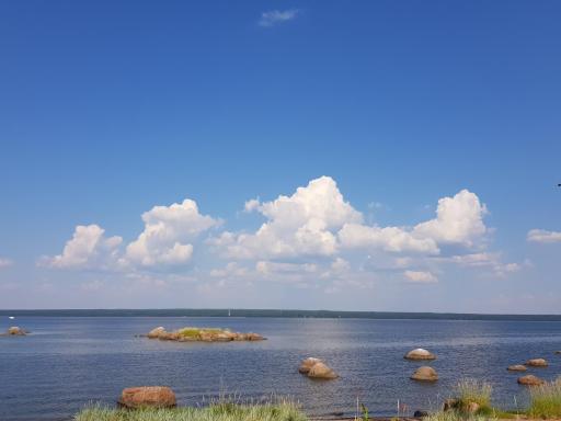Дома на финском заливе - Housity