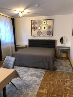Apartment HUGO - Hizvo