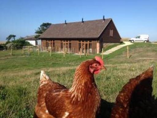 Bike Shed - Beautiful 1-Bed Cottage in Shorwell - Housity