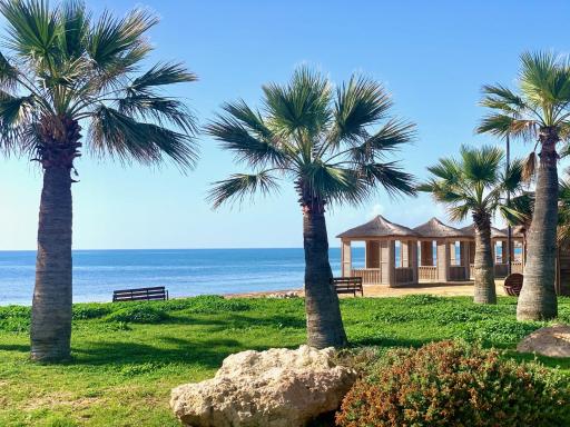 Peaceful Oasis at the Beach - Housity