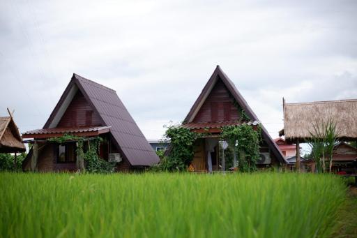 Huean Himbo - Housity