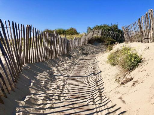 Sweet & Cosy - Housity