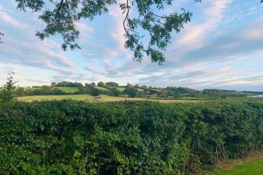 Elmtree at Sherwood Forest - Housity