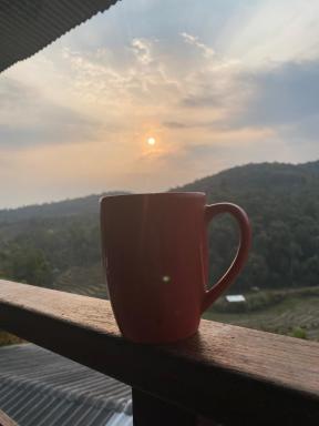 Spicy Villa Eco Lodges - Housity