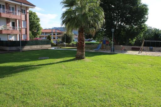 Las palmeras - Housity