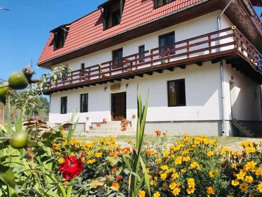 Vila Eivissa - Housity