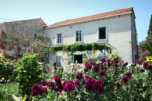 Guest House Katica - Housity