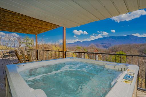 A Million Dollar View- Get 951 worth of FREE area attraction tickets for each paid day! - Housity