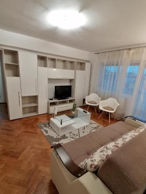 Piata Victoriei 2 Room Apartment - Housity