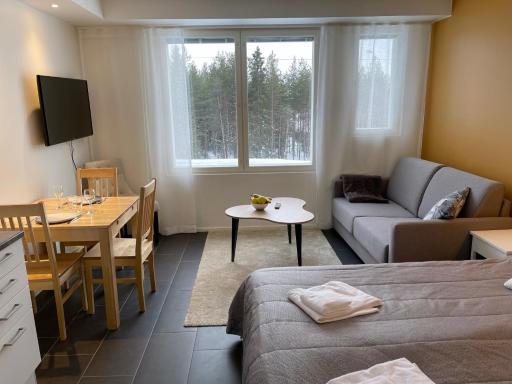 Hotel Lost in Levi - Housity