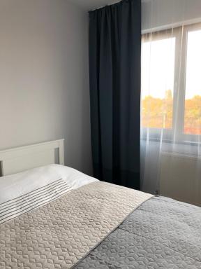 Brancusi Apartment - Housity