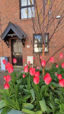 Liberty Townhouses - Housity