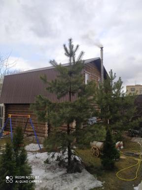 Sak Mini Hotel - Housity