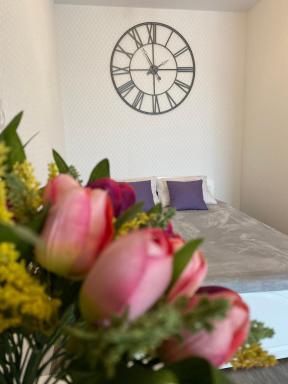 Apartments aleksir house u volgi - Housity