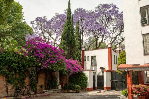 Viva Coyoacan - Housity